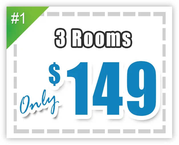 carpet cleaning 3 rooms and hall for $99
