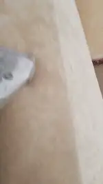 sofa cleaning